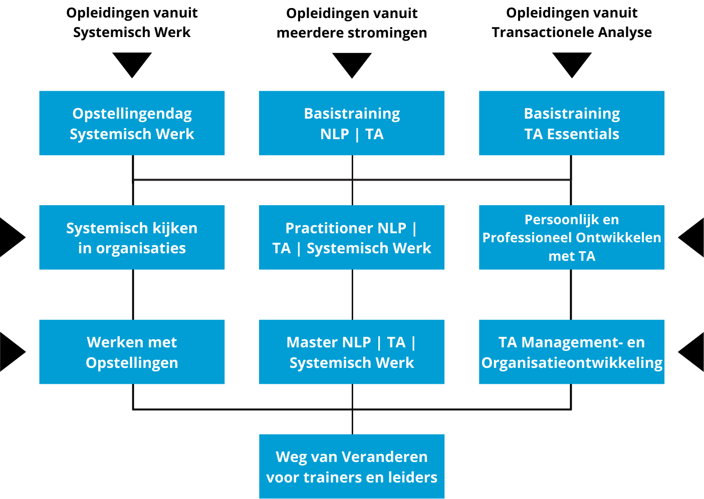 Stroomschema opleidingen Plata NLP